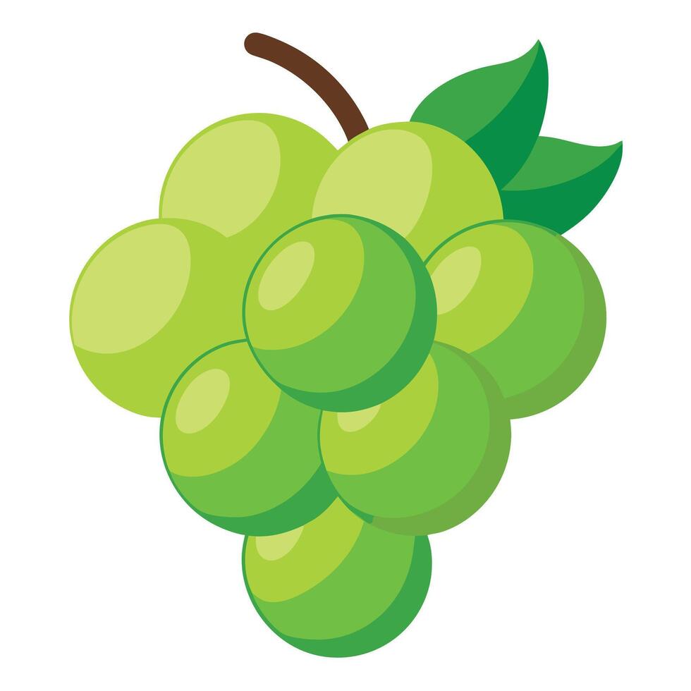 white grape icon, illustration of green fruit with leaf isolated of white background vector