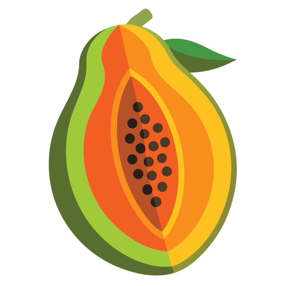 Papaya fruit illustration vector
