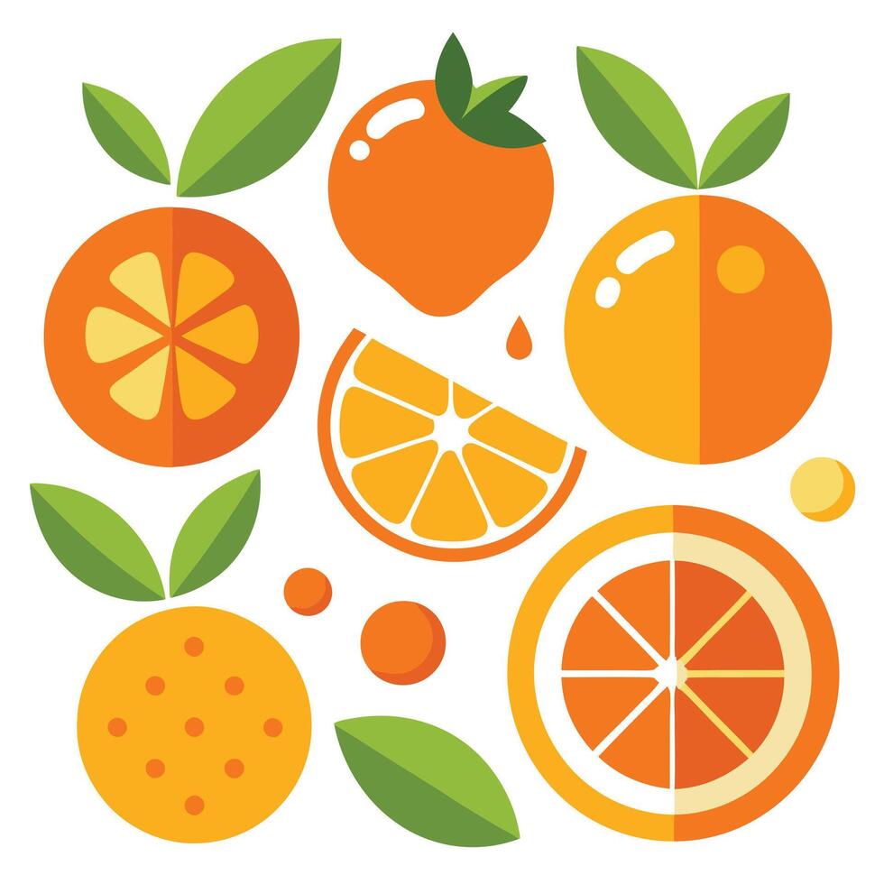 Orange fruit illustration vector
