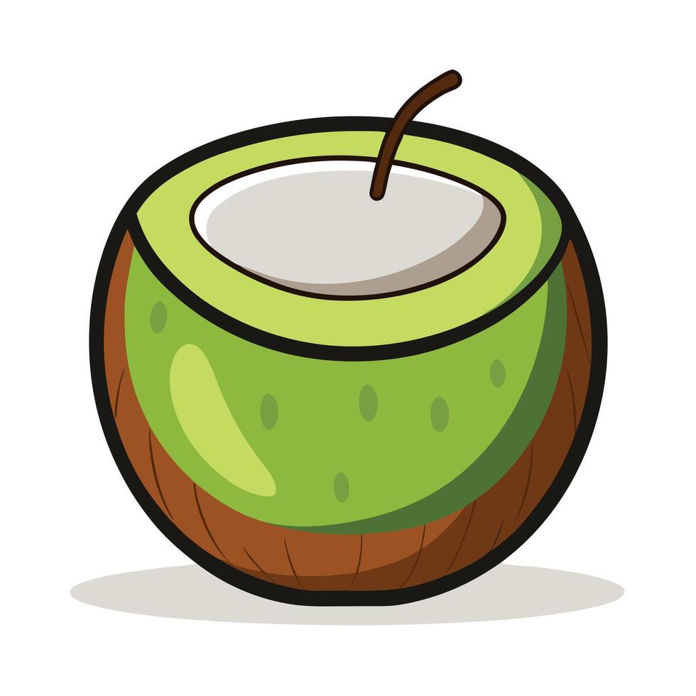 Coconut illustration illustration design vector