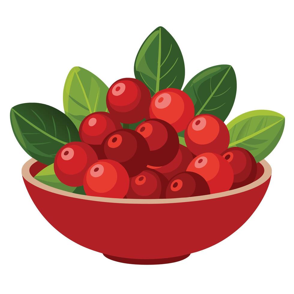 Cranberries in a bowl with leaves on a white background vector