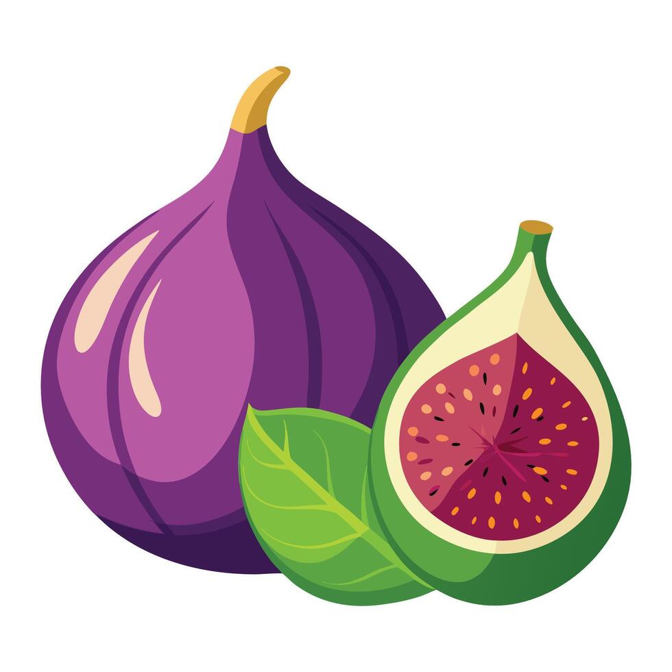 Figs and leaves on a white background vector