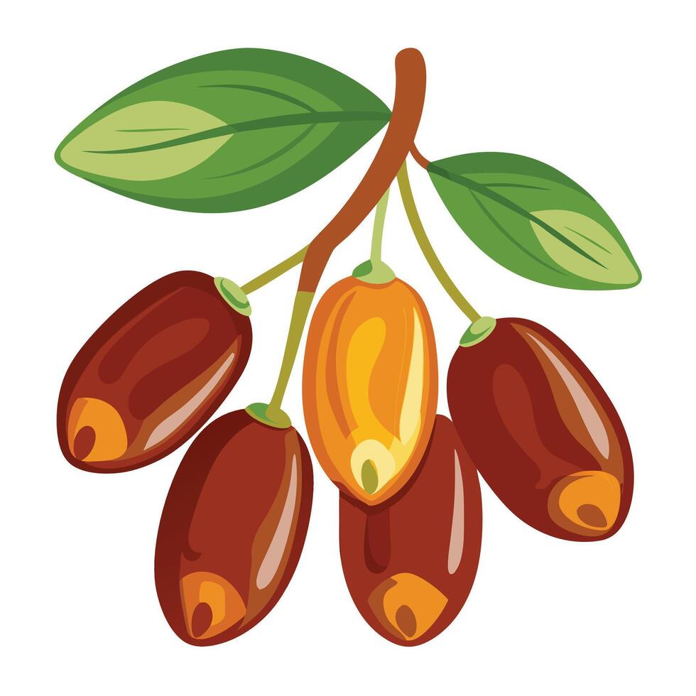 A bunch of nuts and leaves on a branch vector