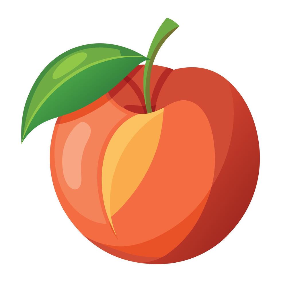 An orange peach fruit with a leaf on it vector
