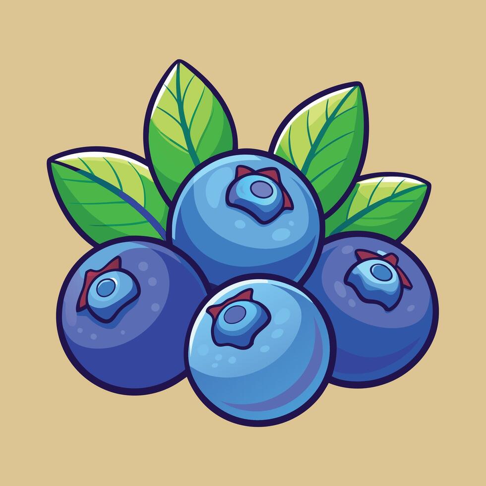 Blueberries with leaves and leaves illustration vector
