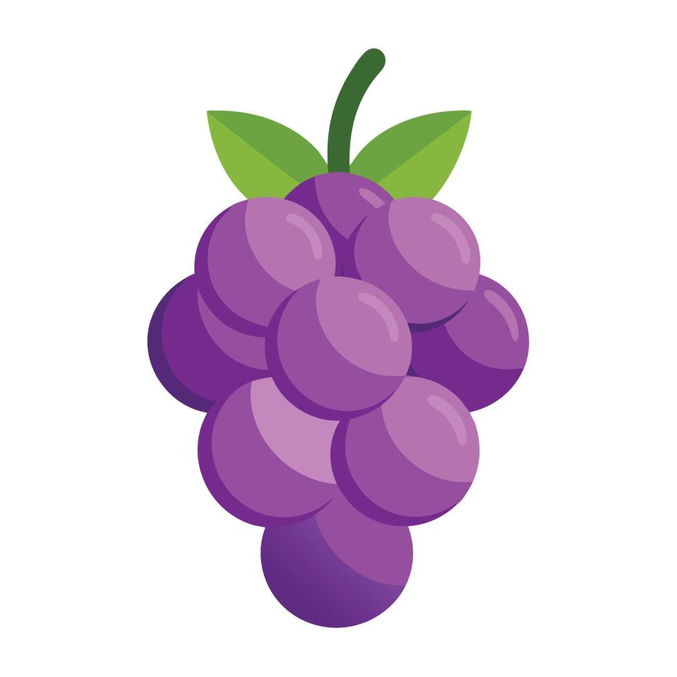 Grapes icon illustration vector