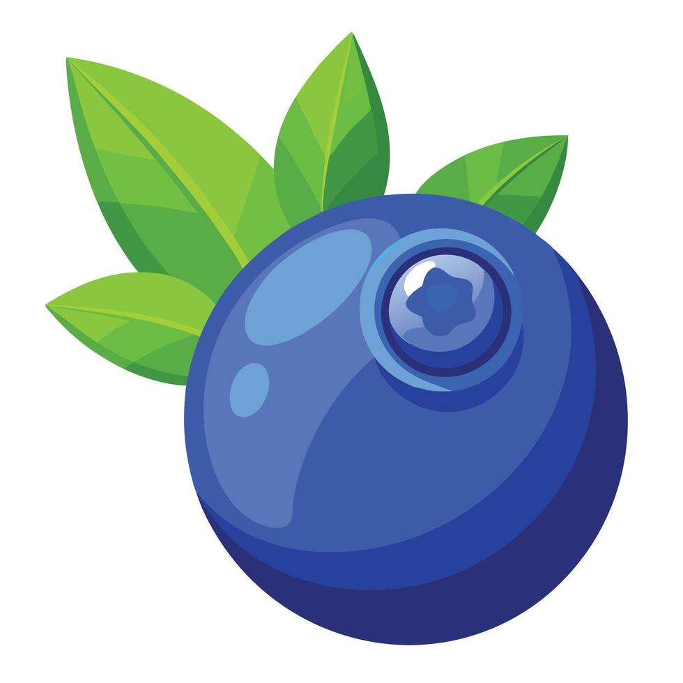 Blueberry fruit icon illustration vector