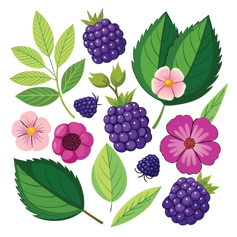 Blackberry, blackberry, blackberry, blackberry, blackberry, blackberry, black vector