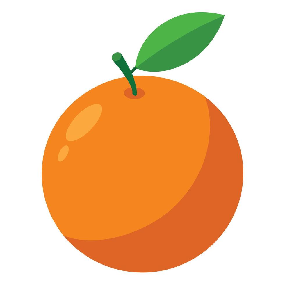 An orange is shown on a white background vector