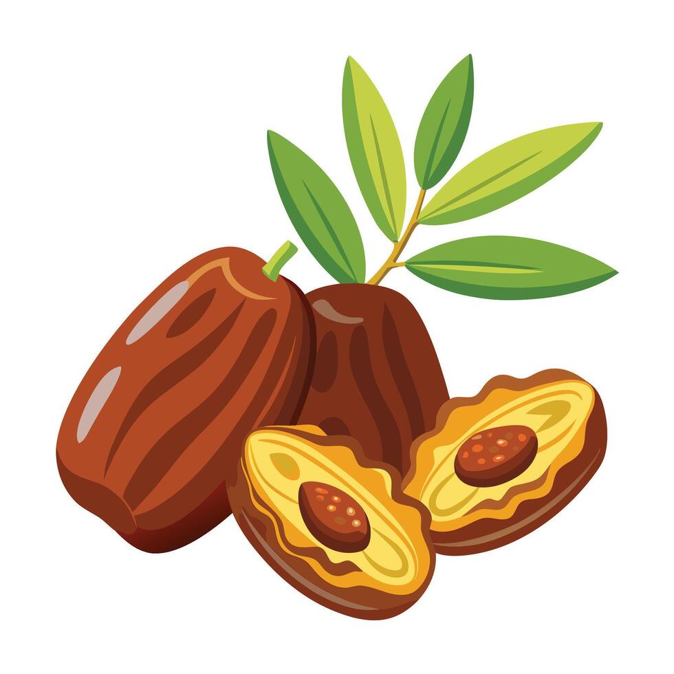 Date palm fruit and nuts with leaves illustration vector