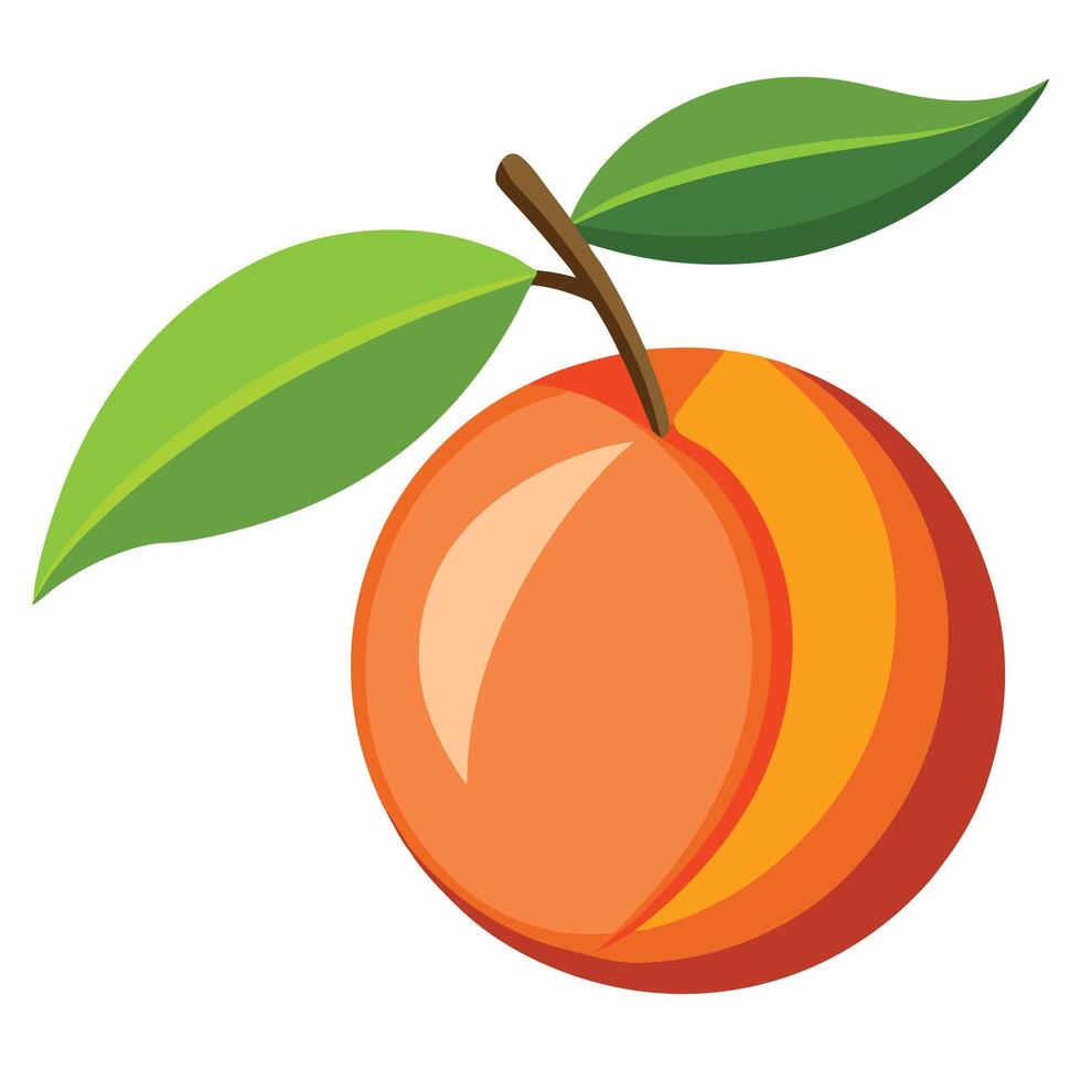 An orange fruit with leaves on it vector