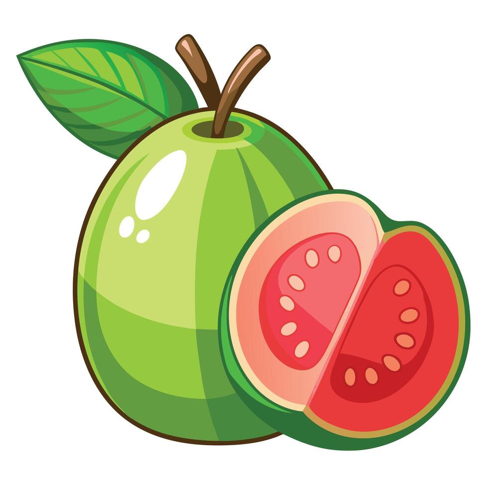 A green guava fruit with a slice cut out of it vector
