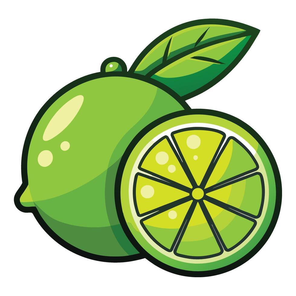 A lime with a slice and a leaf vector