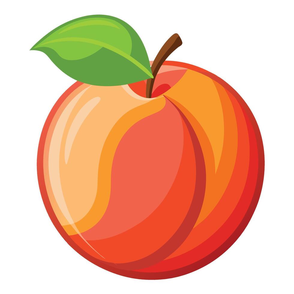 An orange peach fruit with a leaf on it vector