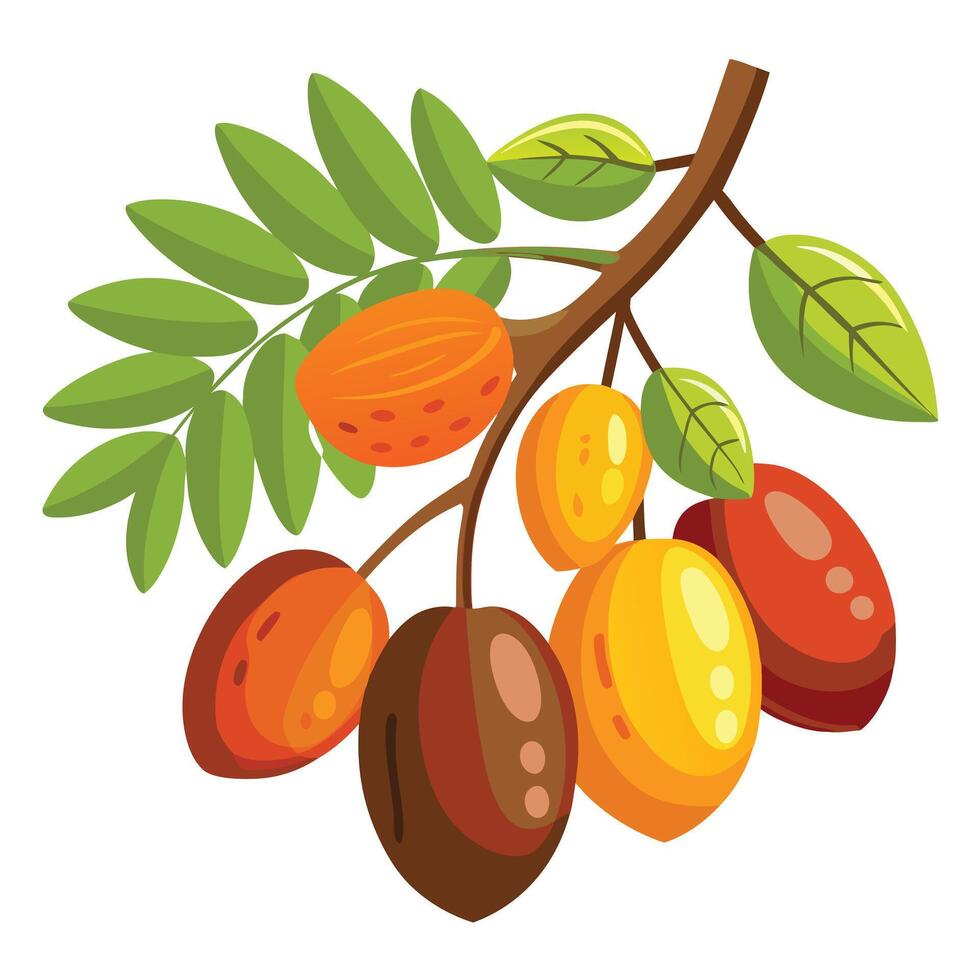 A branch with fruit and leaves on it vector