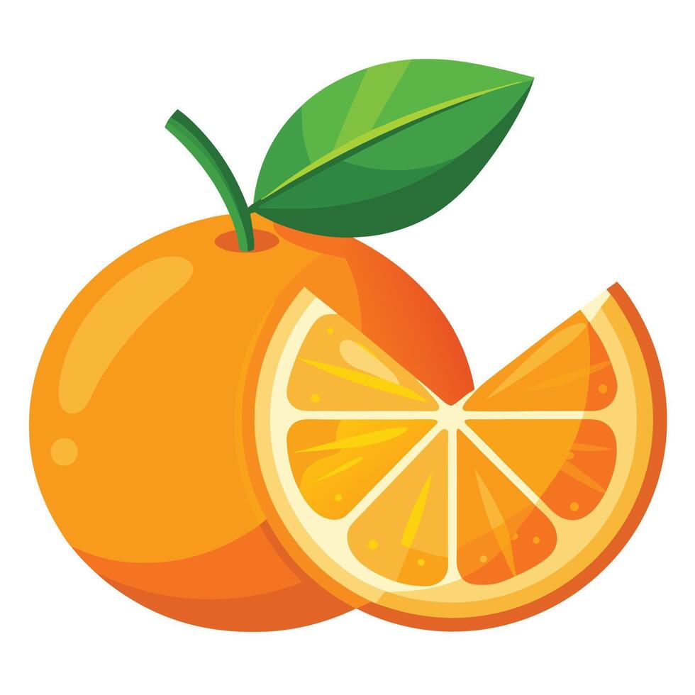 Orange slice illustration vector