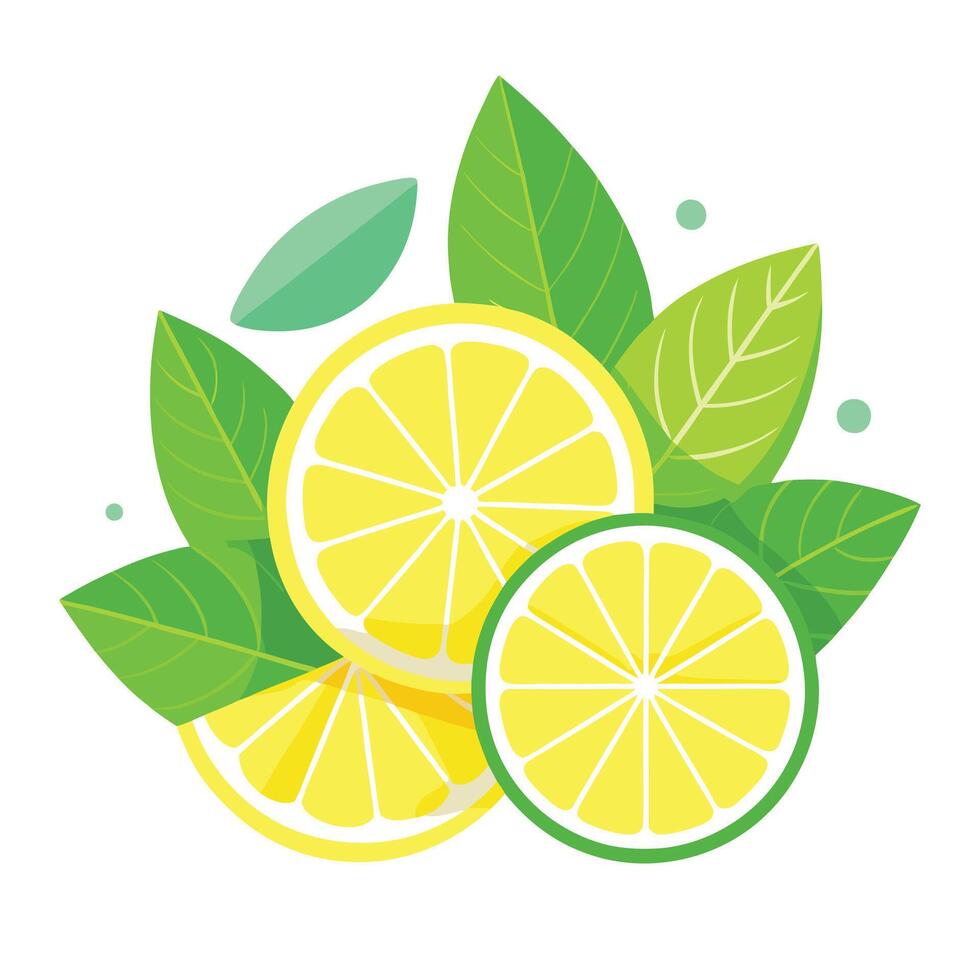 Lemon and green leaves illustration vector