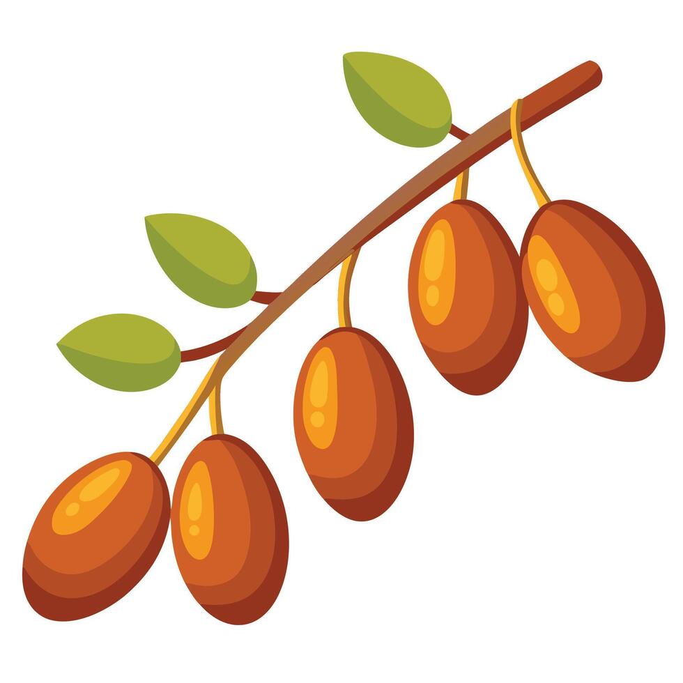 A branch with fruit on it vector