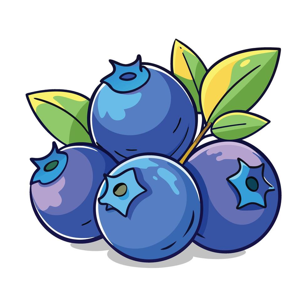 Blueberries illustration white background vector