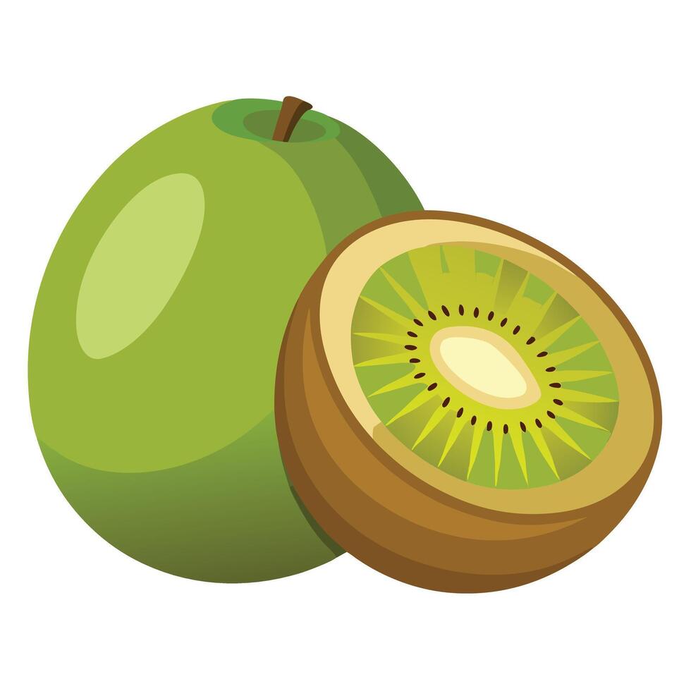 Kiwi fruit illustration vector