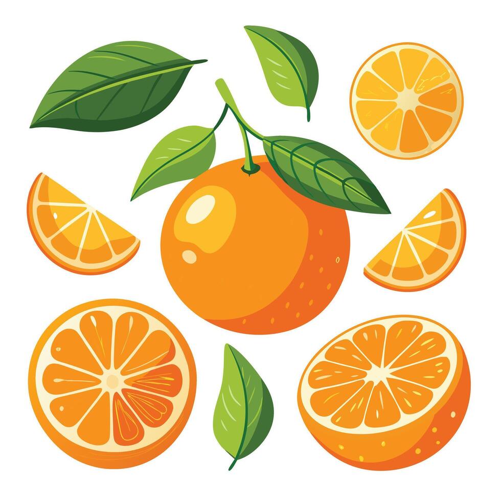 Orange slices and leaves are arranged around an orange vector