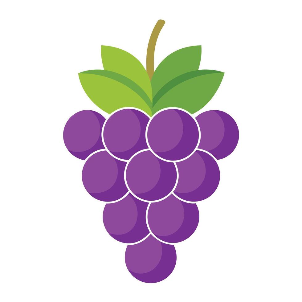 Grapes icon illustration vector