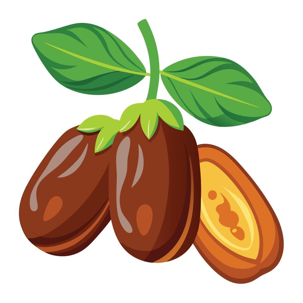 Jatropha oil palm fruit and leaves illustration vector