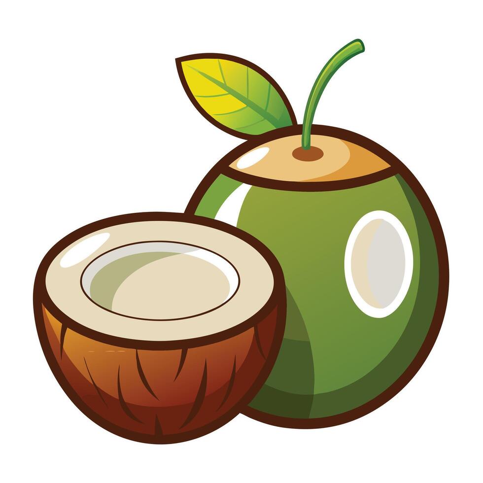 Coconut fruit and half open coconut illustration vector