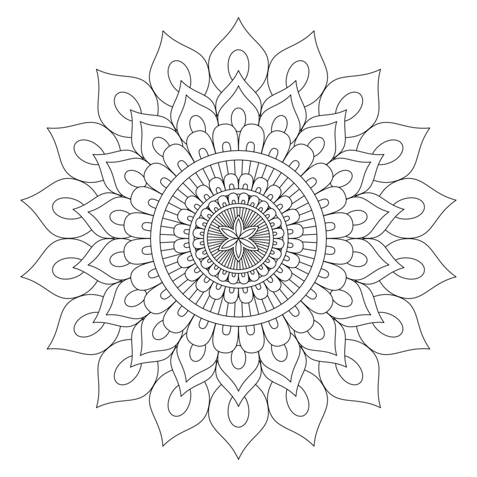 A coloring page with a flower design png