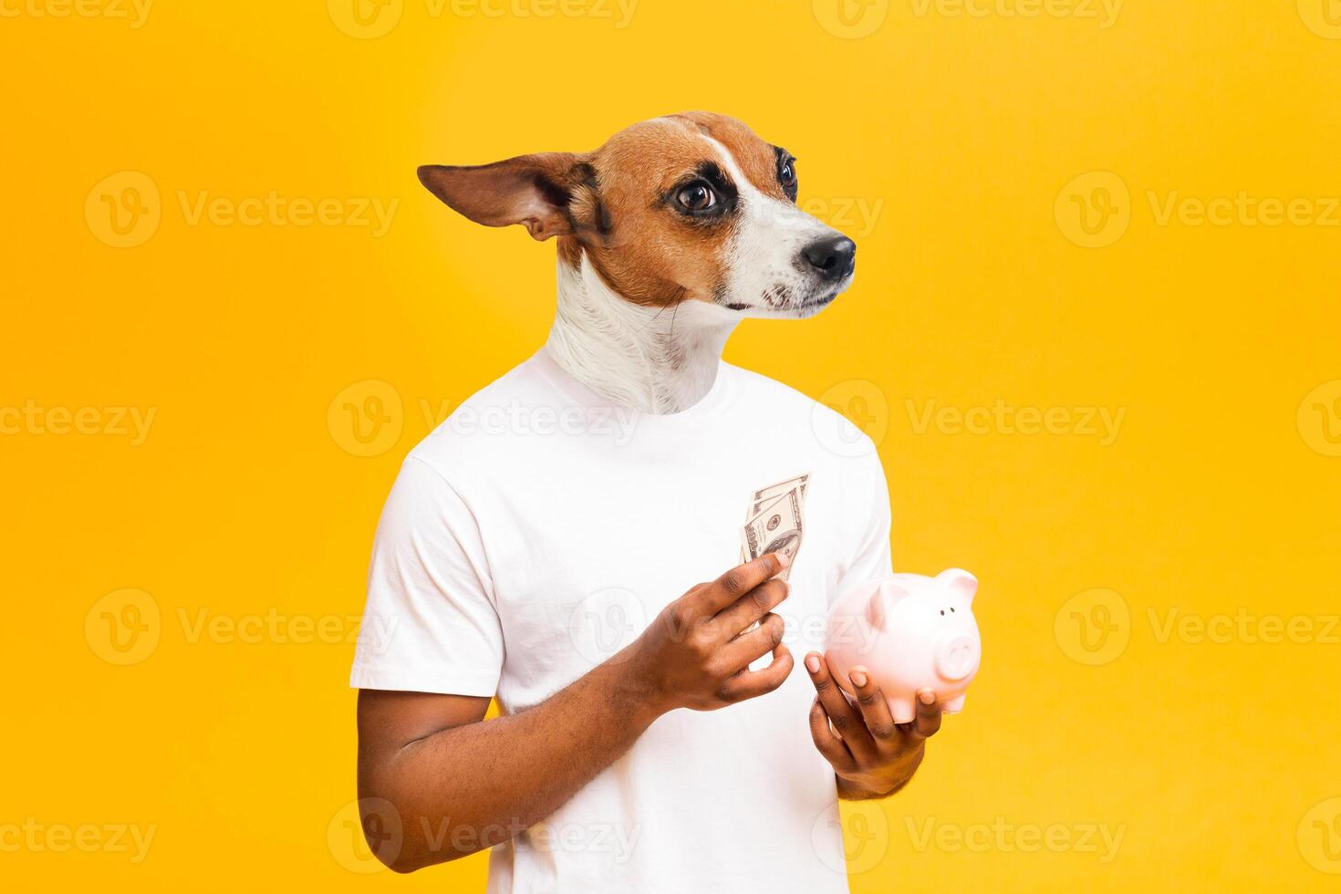 A man with the head of a dog holds a piggy bank and some cash in his hands while looking to the left. He is wearing a white t-shirt and standing in front of a bright yellow background. photo