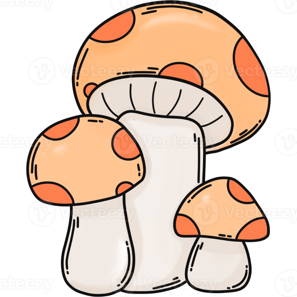 Mushroom autumn clipart illustration png