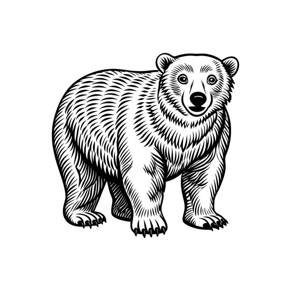 Polar bear Silhouette- Editable on white background Perfect for Any Project vector