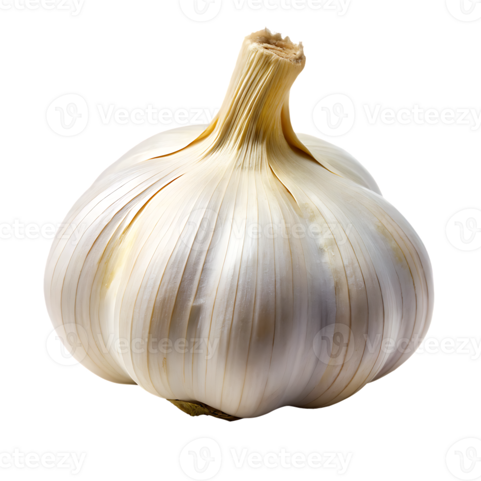 A Garlic isolated on transparent background png