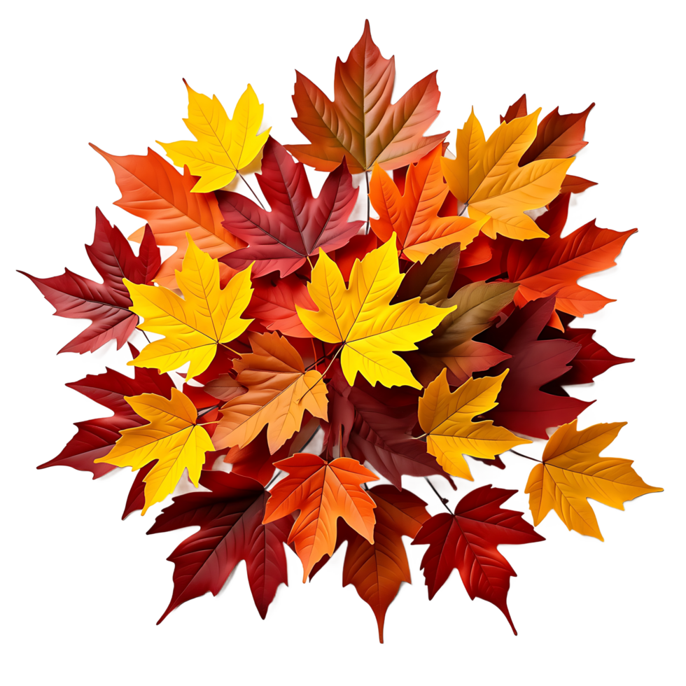Realistic Pile of Fall Leaves in Shades of Orange, Red, and Yellow- High-Resolution png