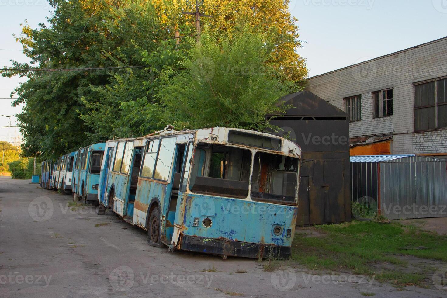 Old blue abandoned trolleybuses with broken windows in a depot photo