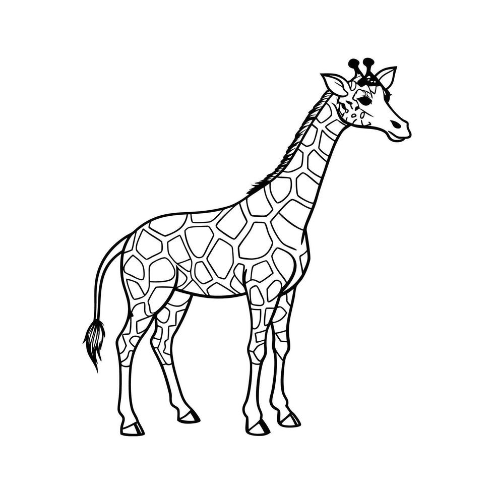 Giraffe Outline- Editable on white background Perfect for Any Project vector