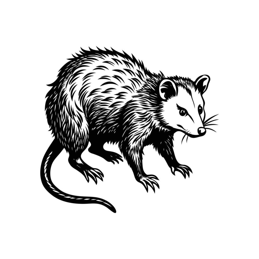 Opossum Silhouette- Editable on white background Perfect for Any Project vector