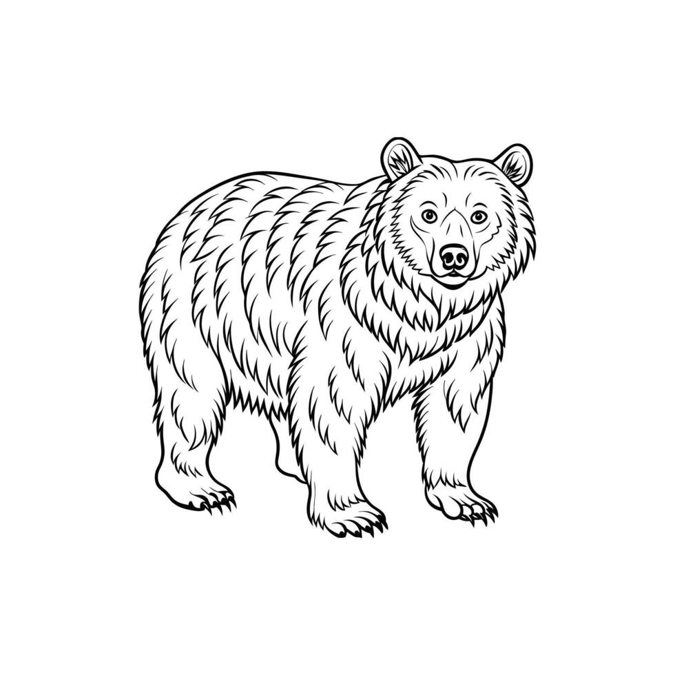 Grizzly Bear Outline- Editable on white background Perfect for Any Project vector