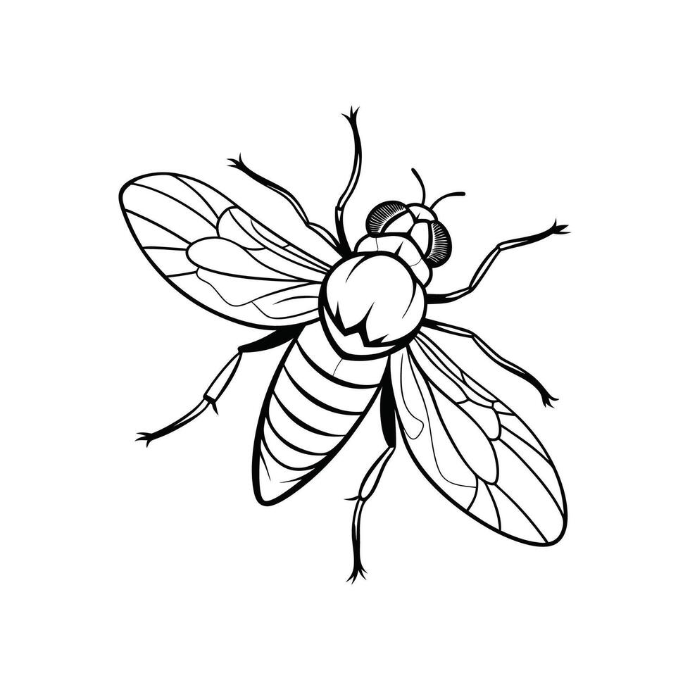 Fly Outline- Editable on white background Perfect for Any Project vector