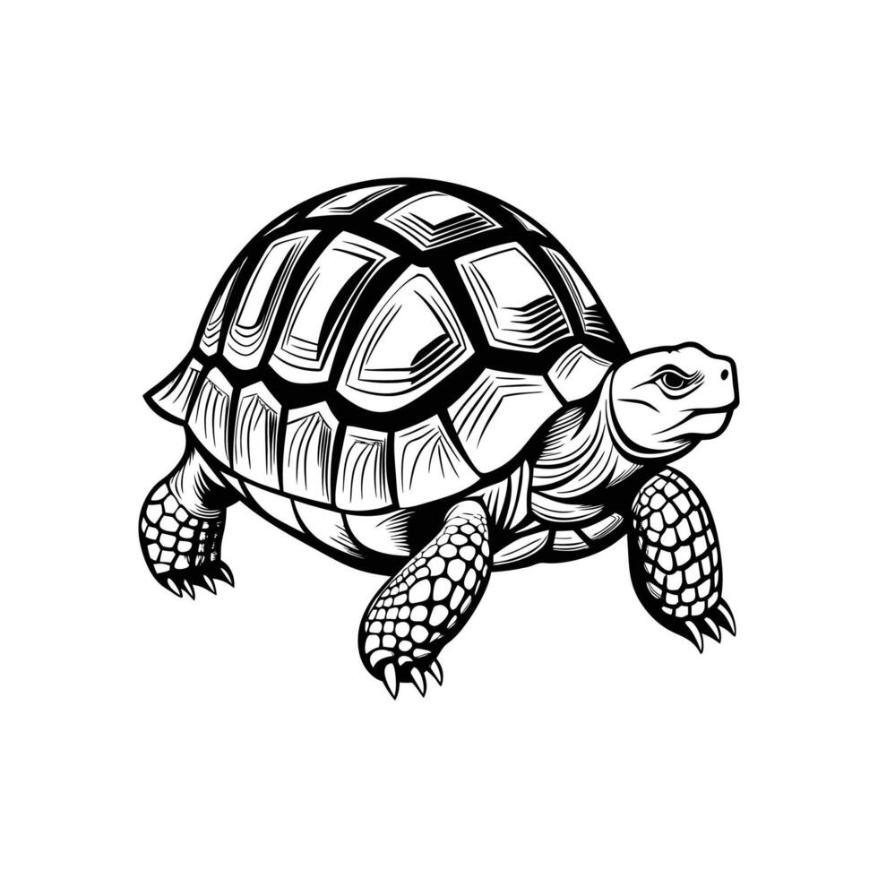 Tortoise Silhouette- Editable on white background Perfect for Any Project vector