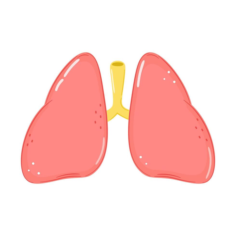 Lungs character. hand drawn cartoon kawaii character illustration icon. Isolated on white background. Lungs character concept vector