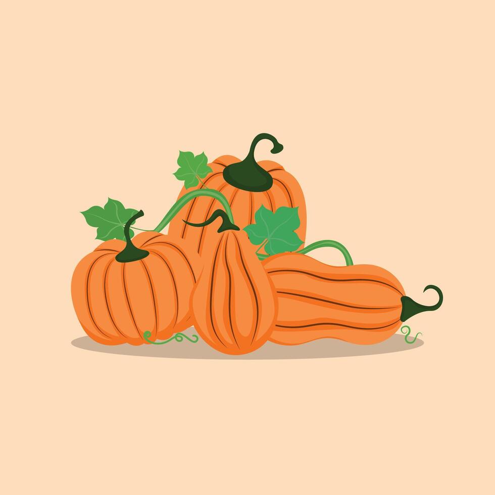 Set of Pumpkins with leaves illustration vector