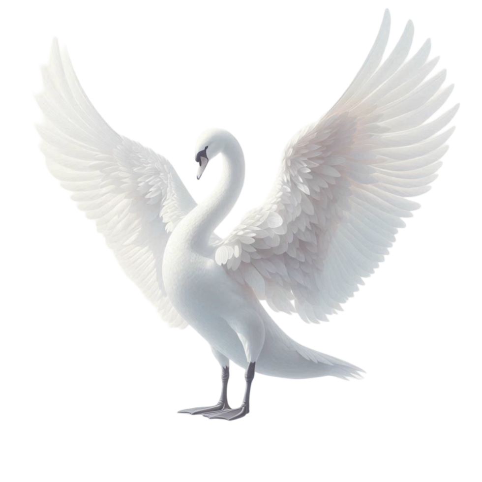White Swan Standing on One Leg with Wings Spread Wide png