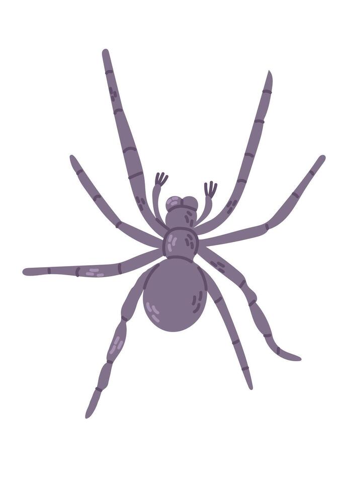 Hand drawn spider in flat style. Scary insect isolated on white background. Cute design for Halloween. Good for stickers, decoration vector