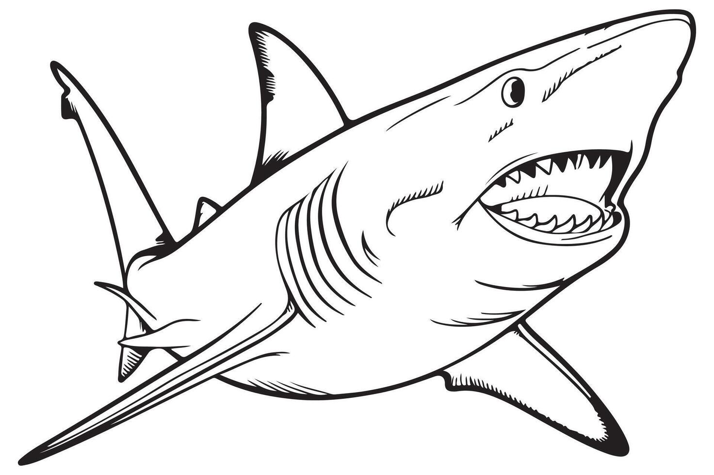 Ocean shark line art design vector