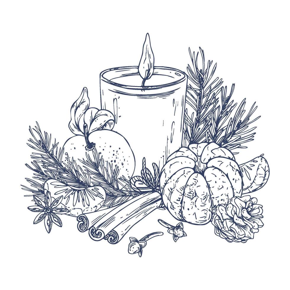 Christmas candle orange with tangerines, pine branch and cone, cinnamon spices, anise star and cloves. Graphic illustration hand drawn in black ink. Composition, sublimation, arrangement EPS . vector