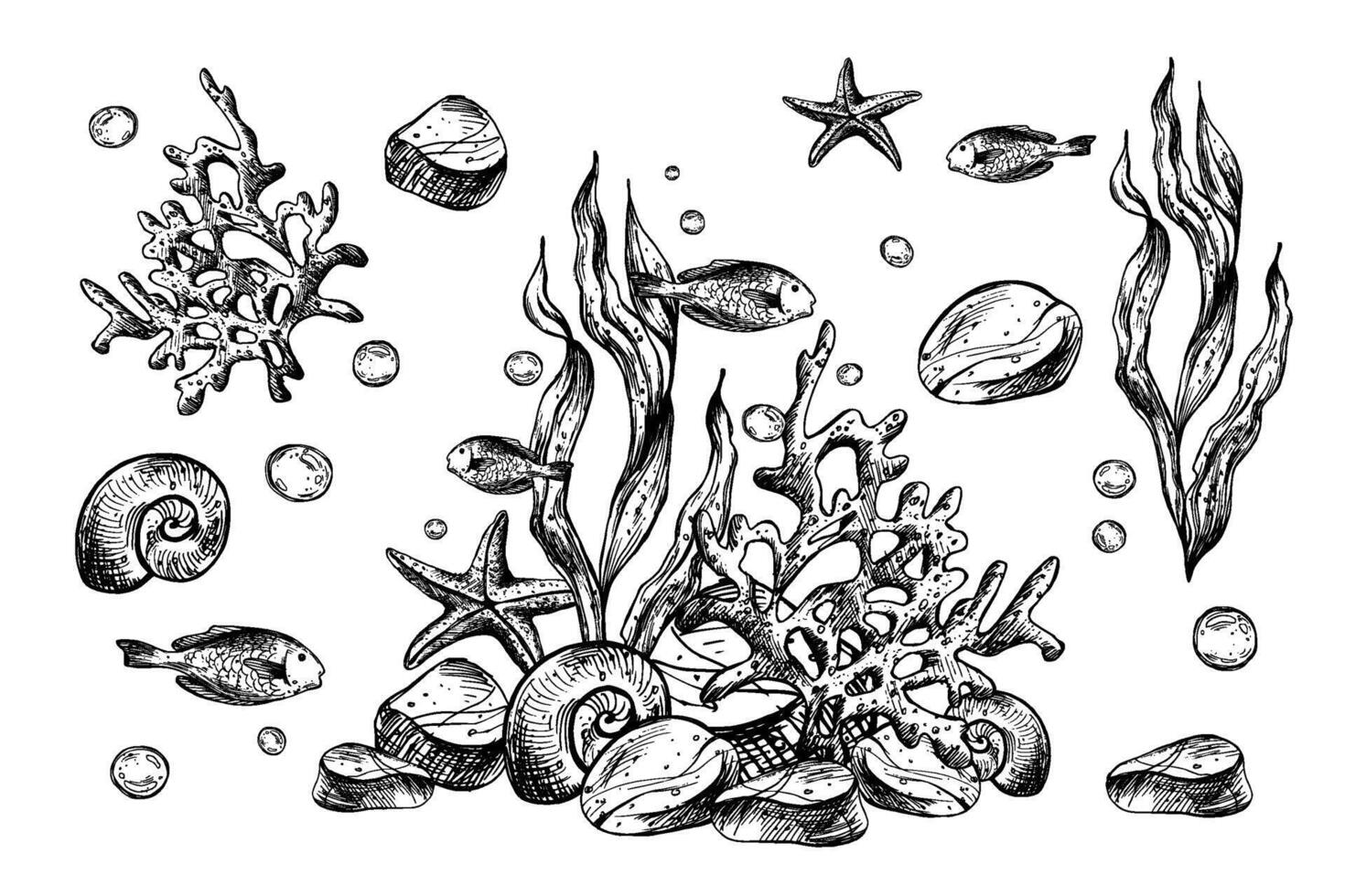 Underwater world clipart with sea animals fishes, shells, coral and algae. Graphic illustration hand drawn in black ink. Set of isolated objects EPS . vector