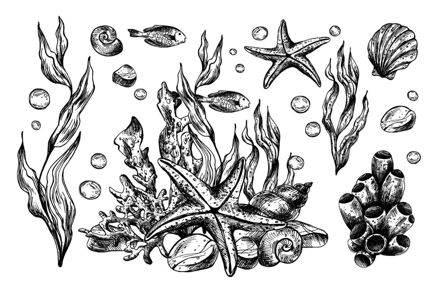 Underwater world clipart with sea animals starfishes, shells, coral and algae. Graphic illustration hand drawn in black ink. Set of isolated objects EPS . vector