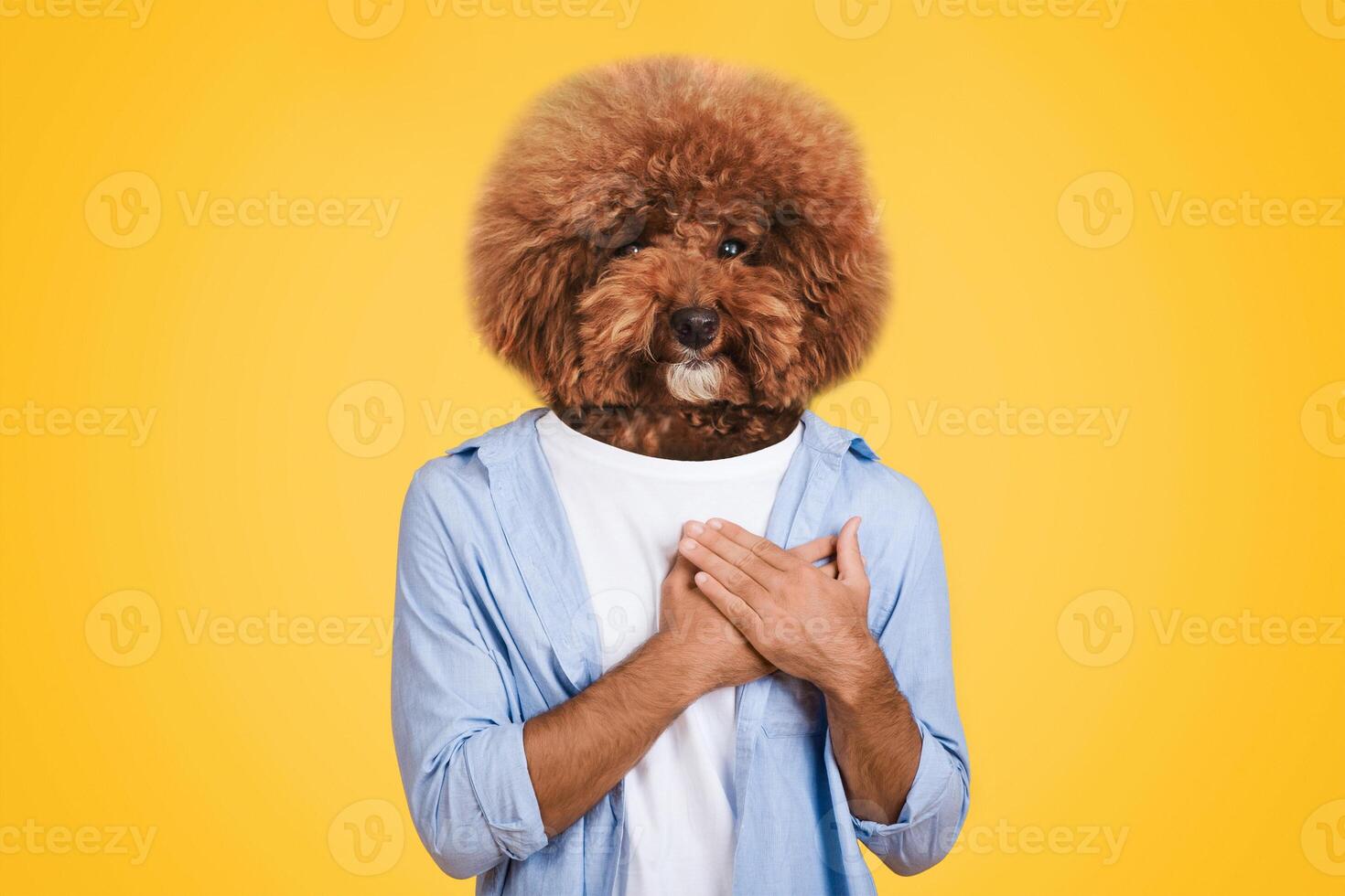 A person stands confidently, with their hands clasped over their chest, sporting a fluffy dog head. The bright yellow background enhances the playful atmosphere of this imaginative representation photo