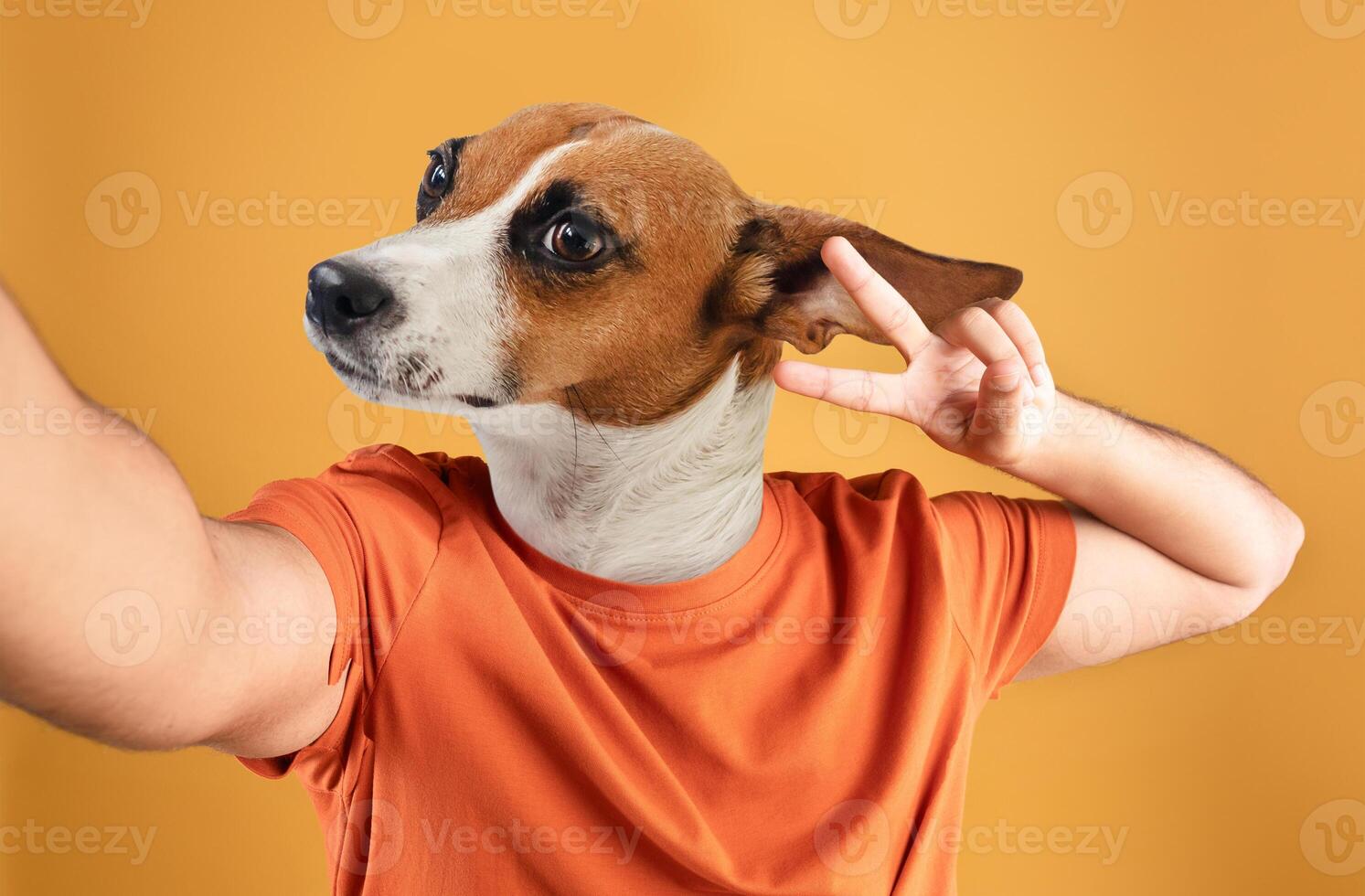 A man wearing an orange t-shirt takes a selfie in front of a yellow background, with the head of a dog superimposed over his own. The dog head is tilted, with one ear flopped down photo